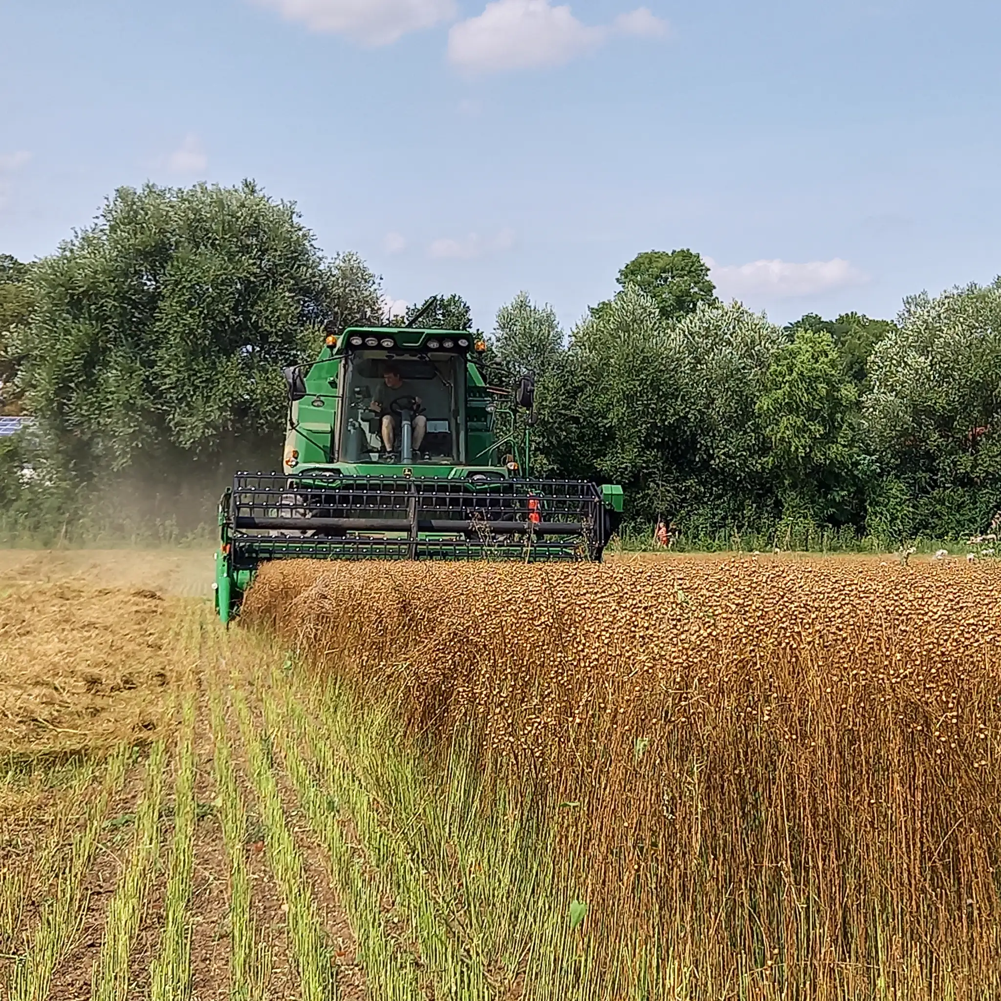 Das Ölhaus Leinernte